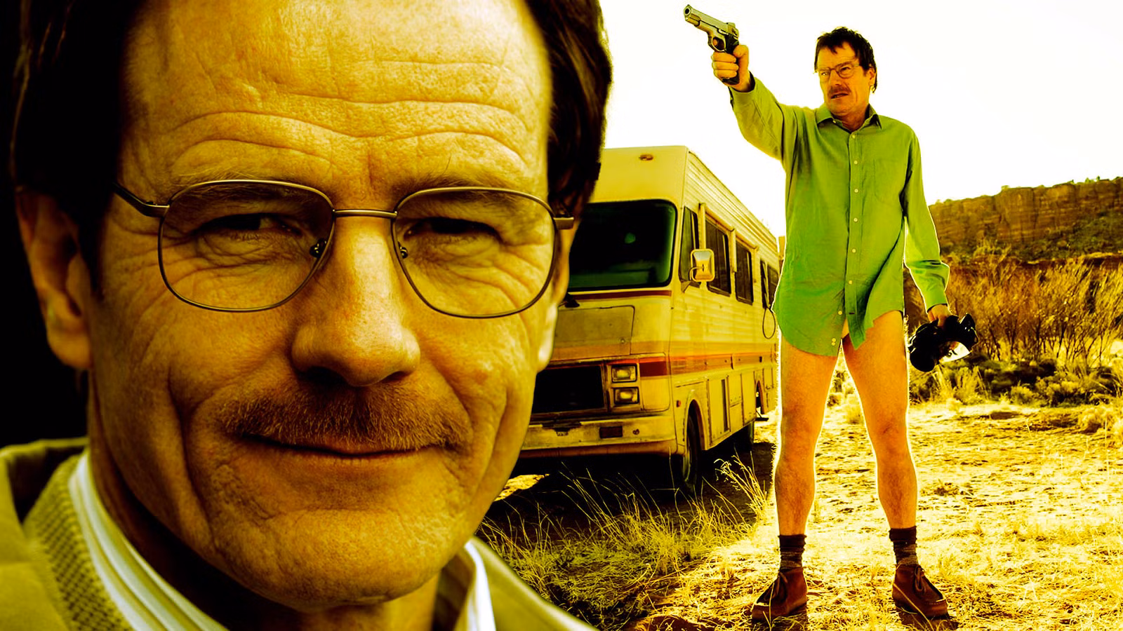 Walter White - Breaking Bad